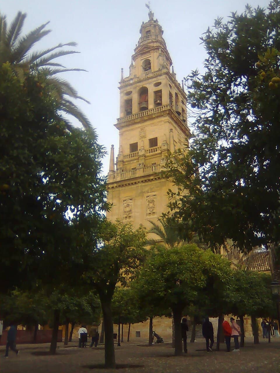 Vertical photo