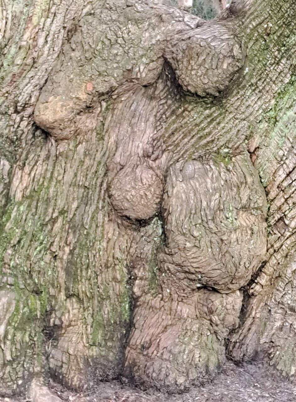 Sprawling Green Spaces