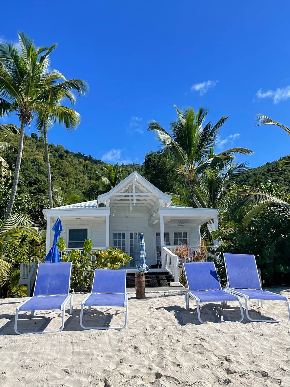 Tranquil Sandy Shores