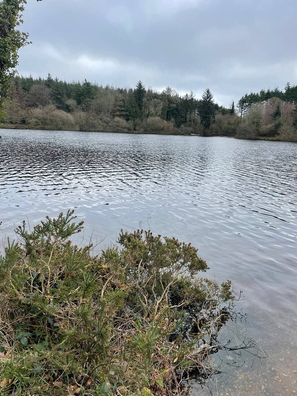 Tottiford Reservoir