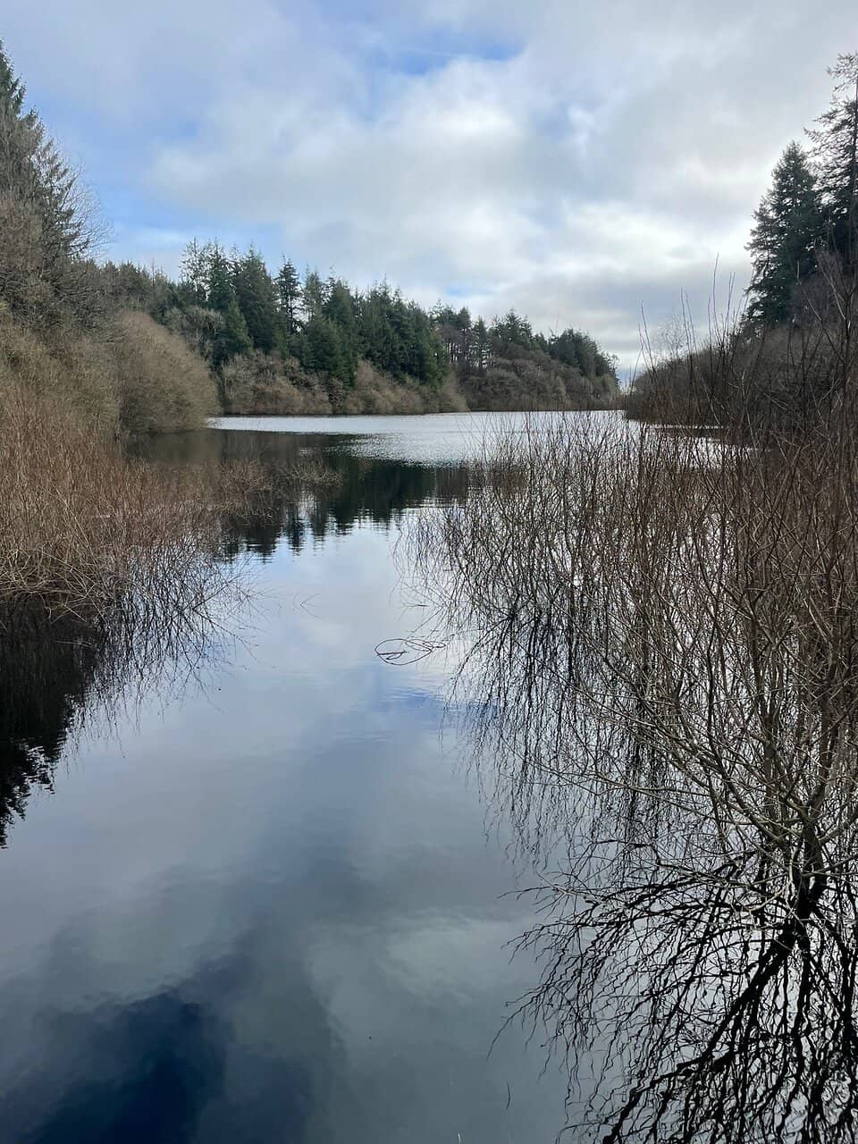 Vertical photo