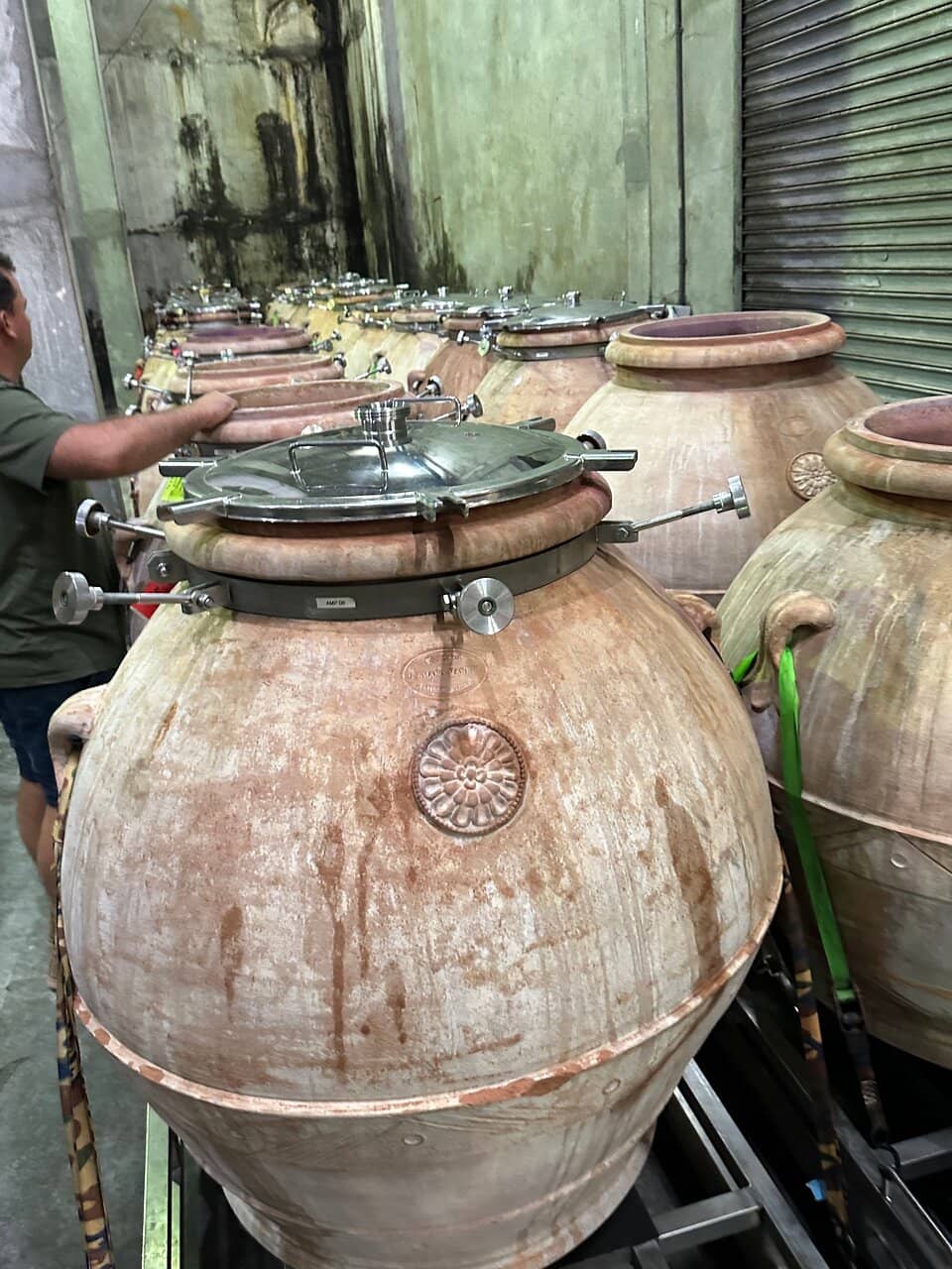 Project Z Wine Releases