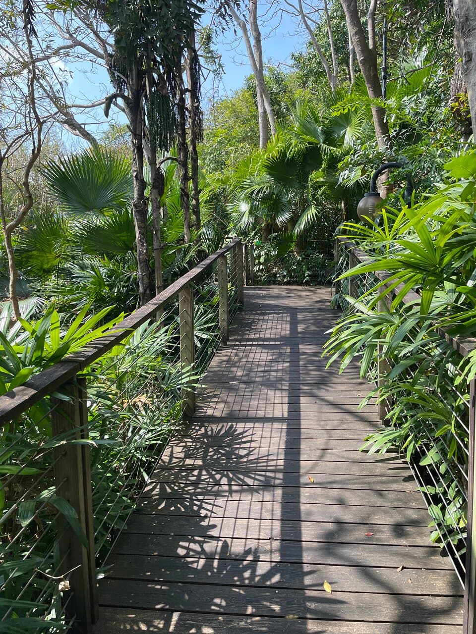 Ma Wan Island
