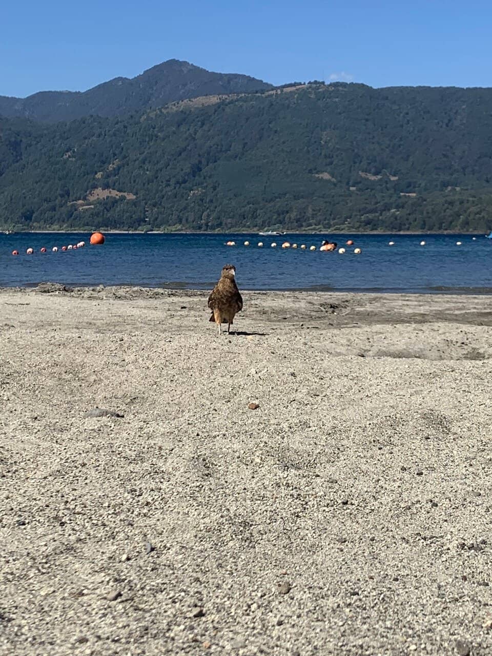 Pristine White Sands