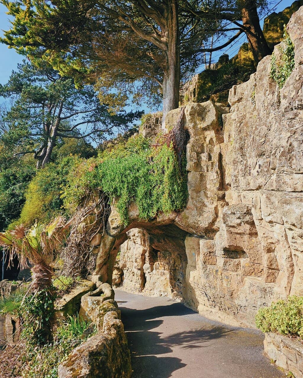 Lower Leas Coastal Park