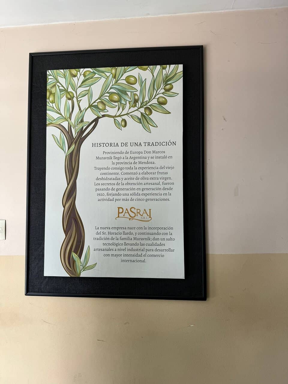 Olive Oil Production Tour
