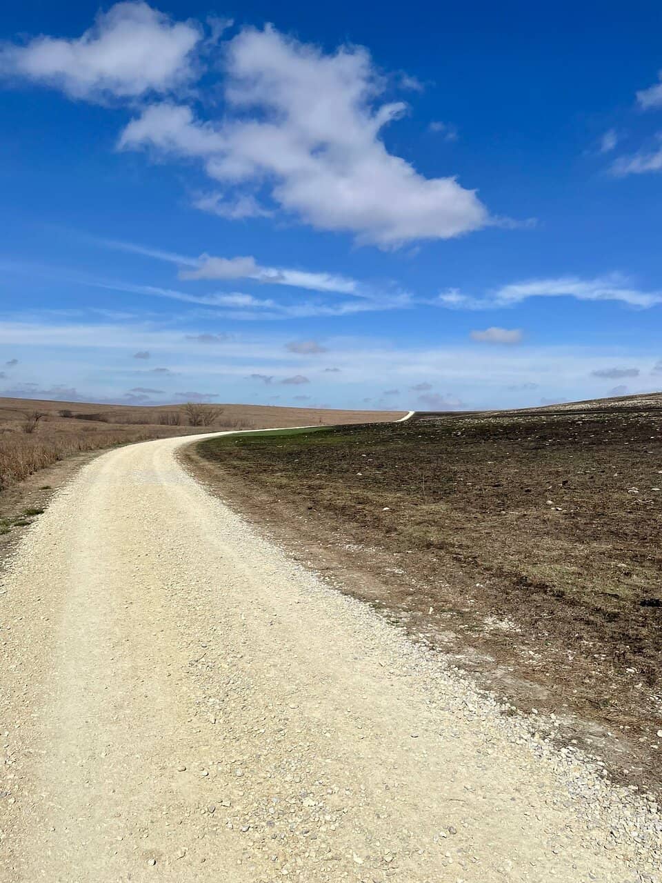 Spring Hill Ranch