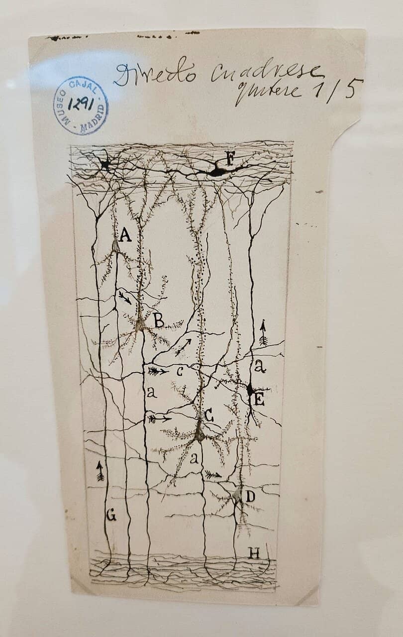 Historic Ward Reconstruction