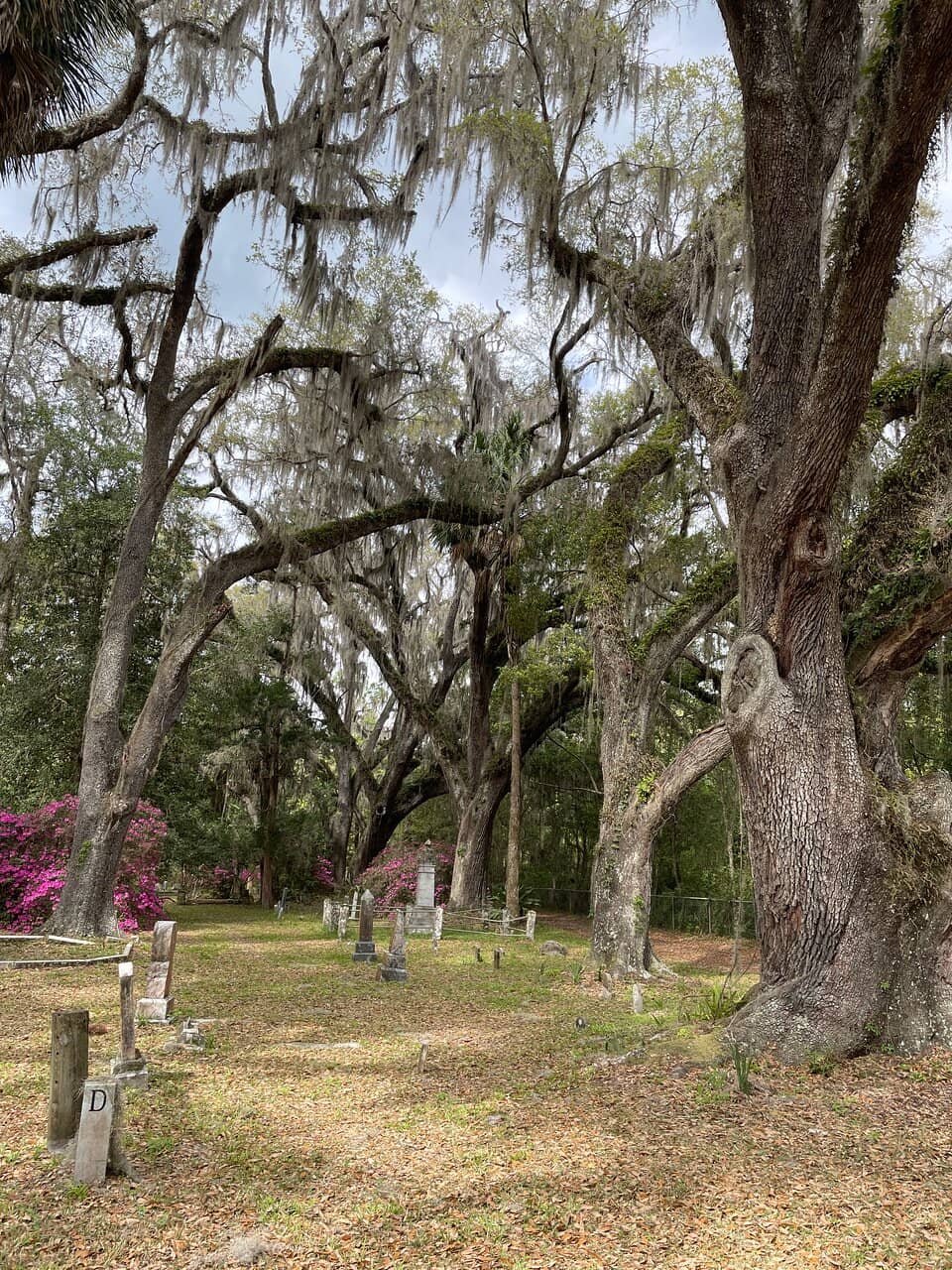 Pearl Country Store and BBQ