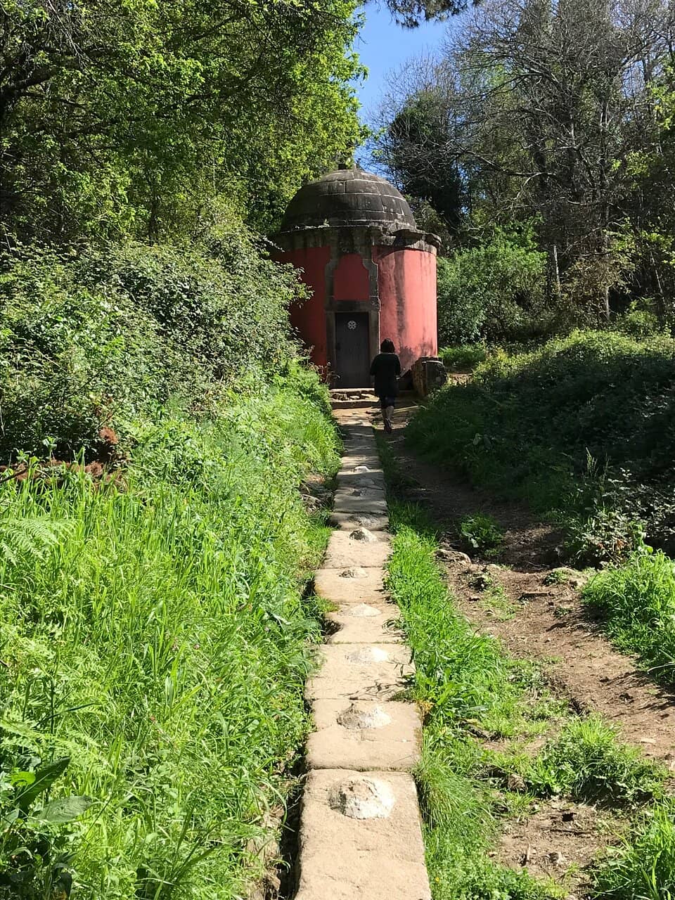 Vertical photo
