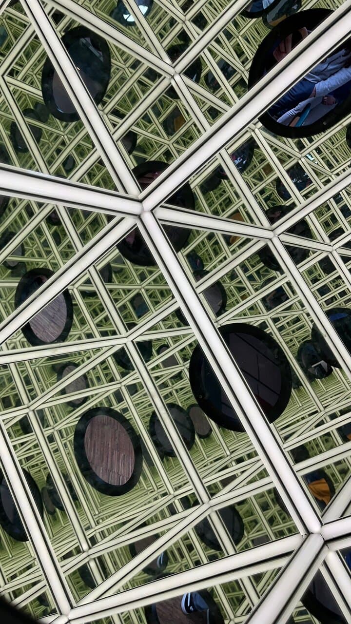 Phänomania Erfahrungsfeld