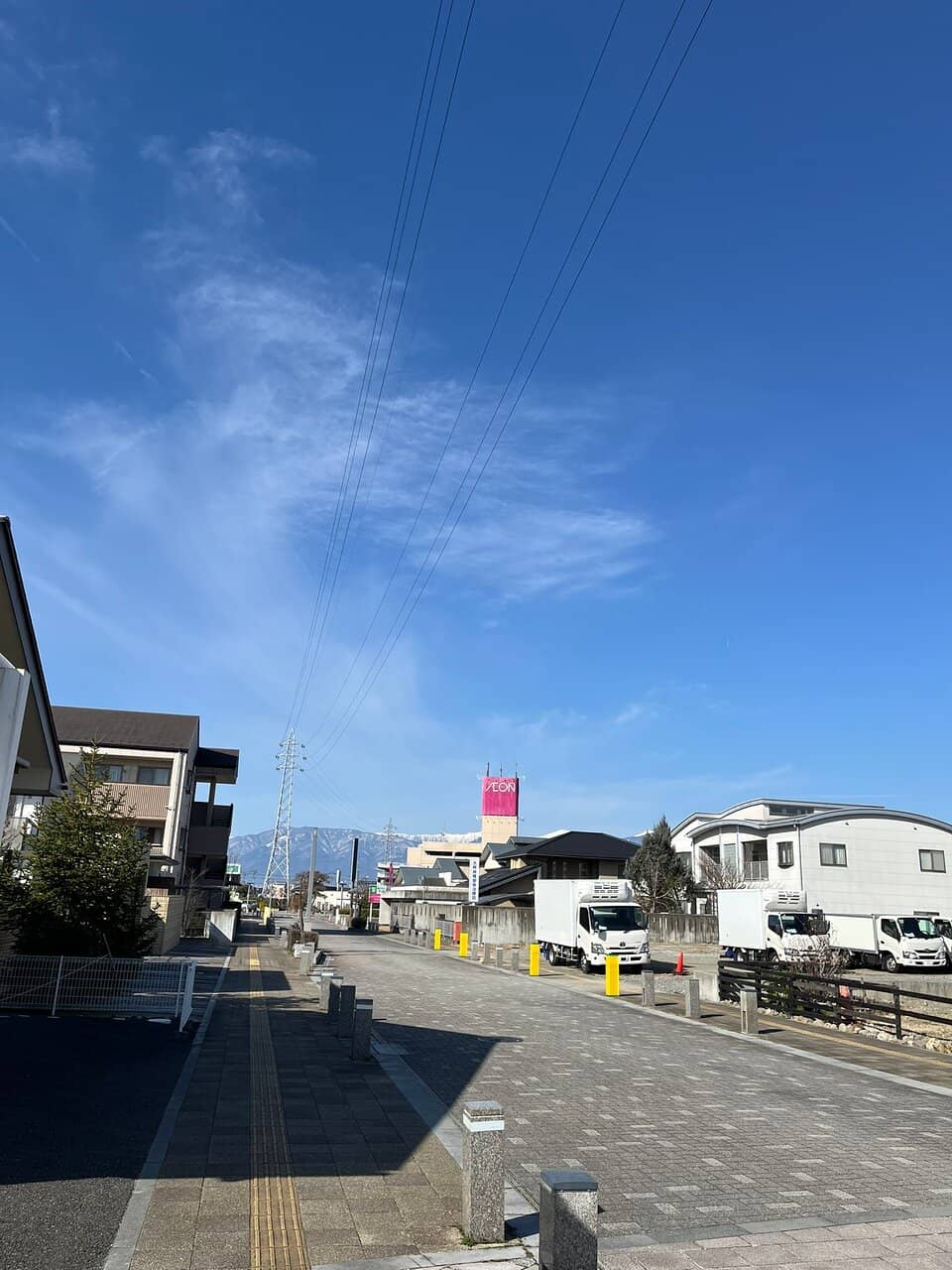 Local Culinary Delights