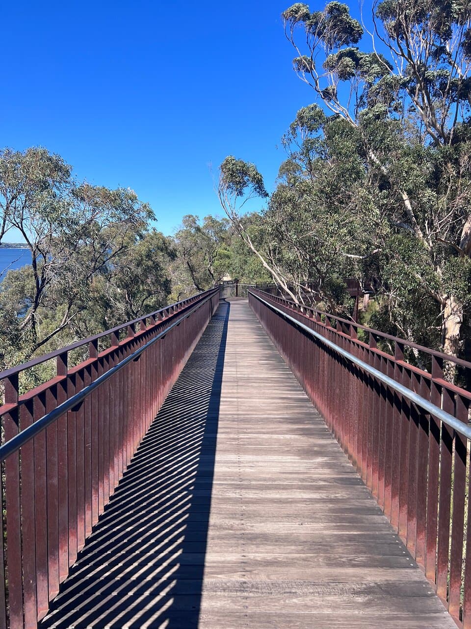 Lotterywest Federation Walkway