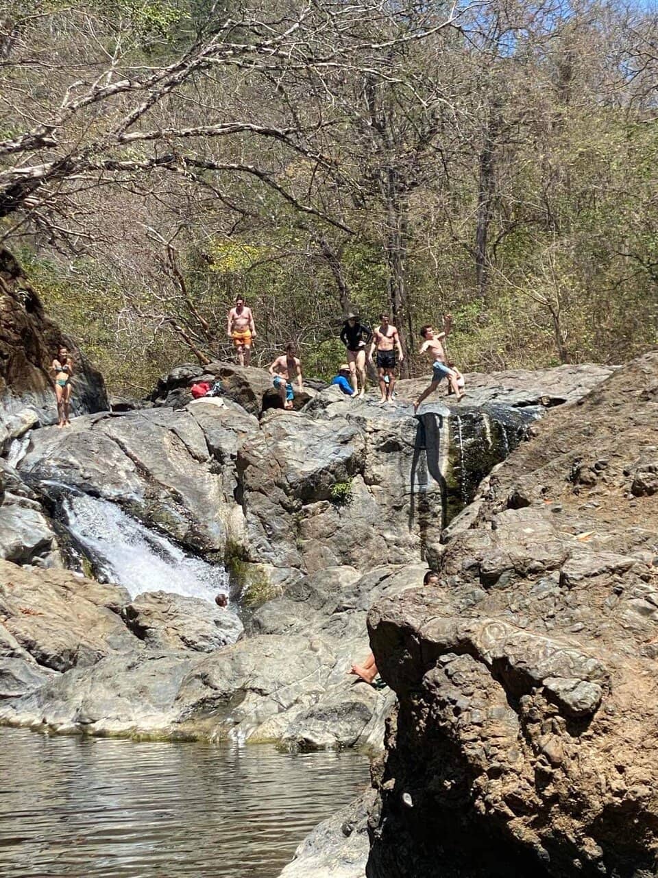 Natural Swimming Pool