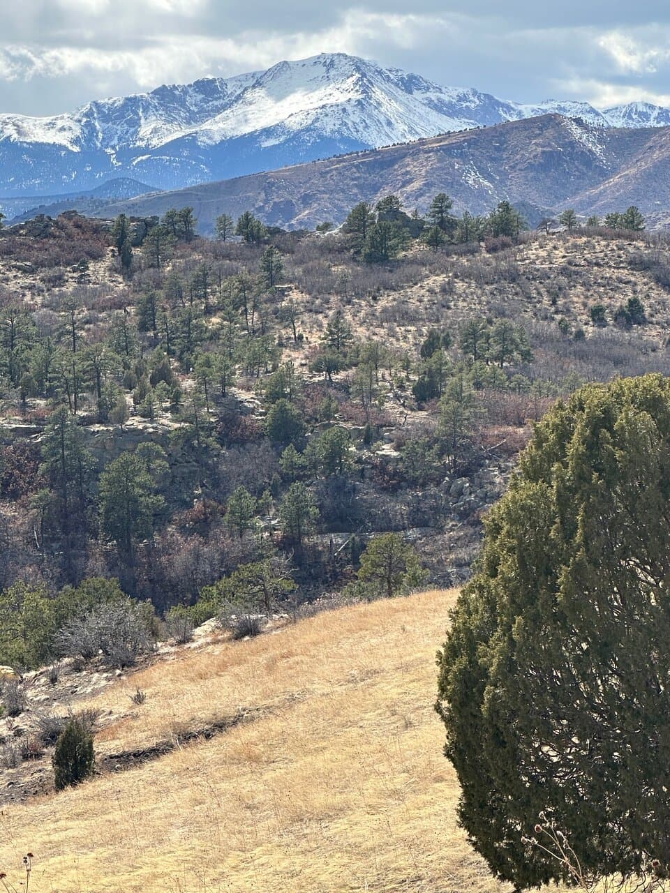Spring time view of Pikes Peak