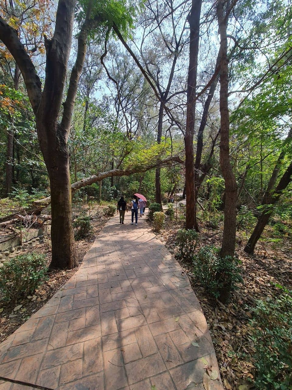 Waterfront Park & Gardens