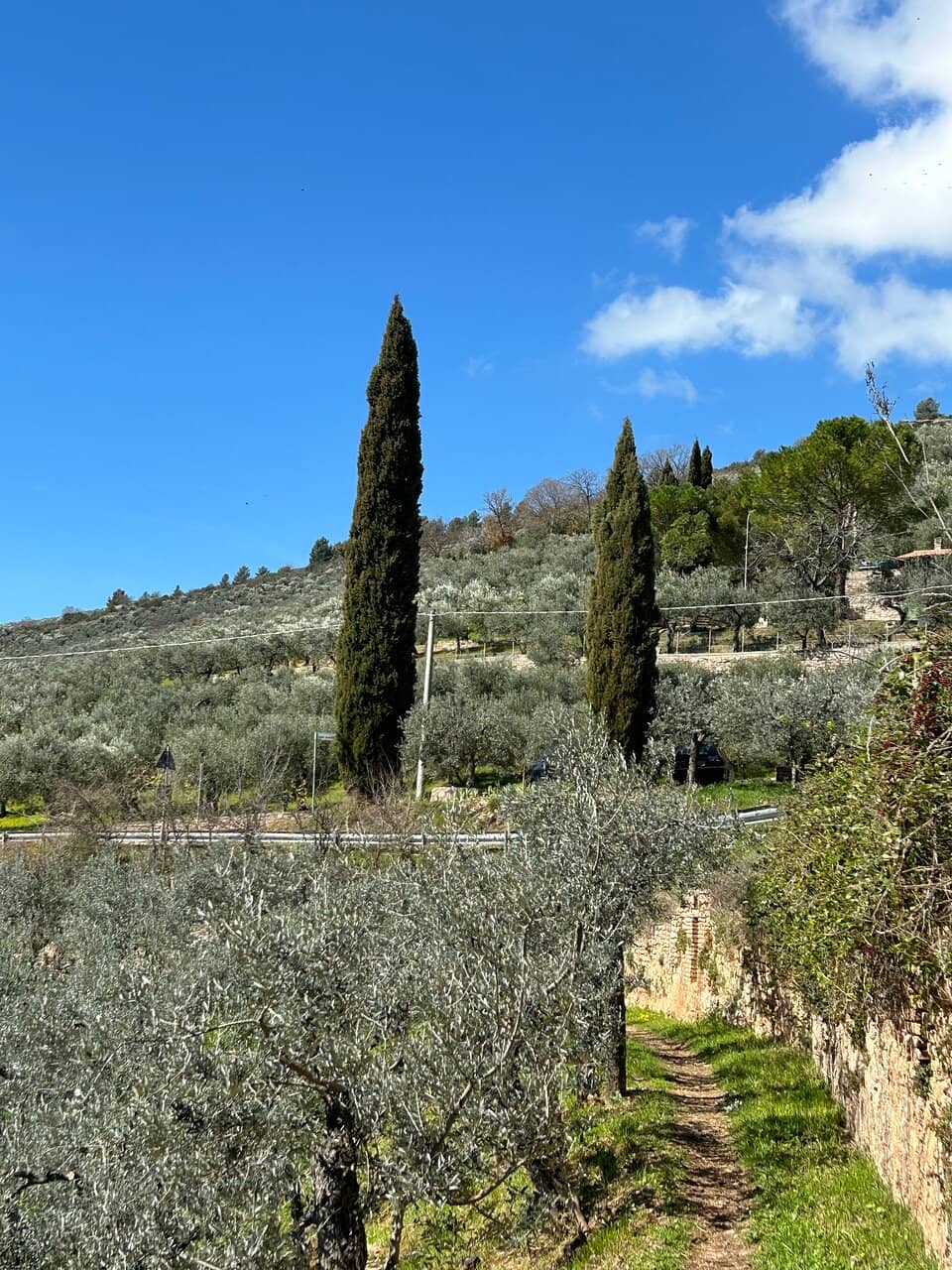Spello's Charm
