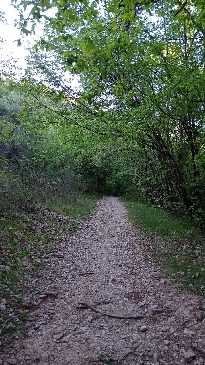 Ancient Roman Aqueduct