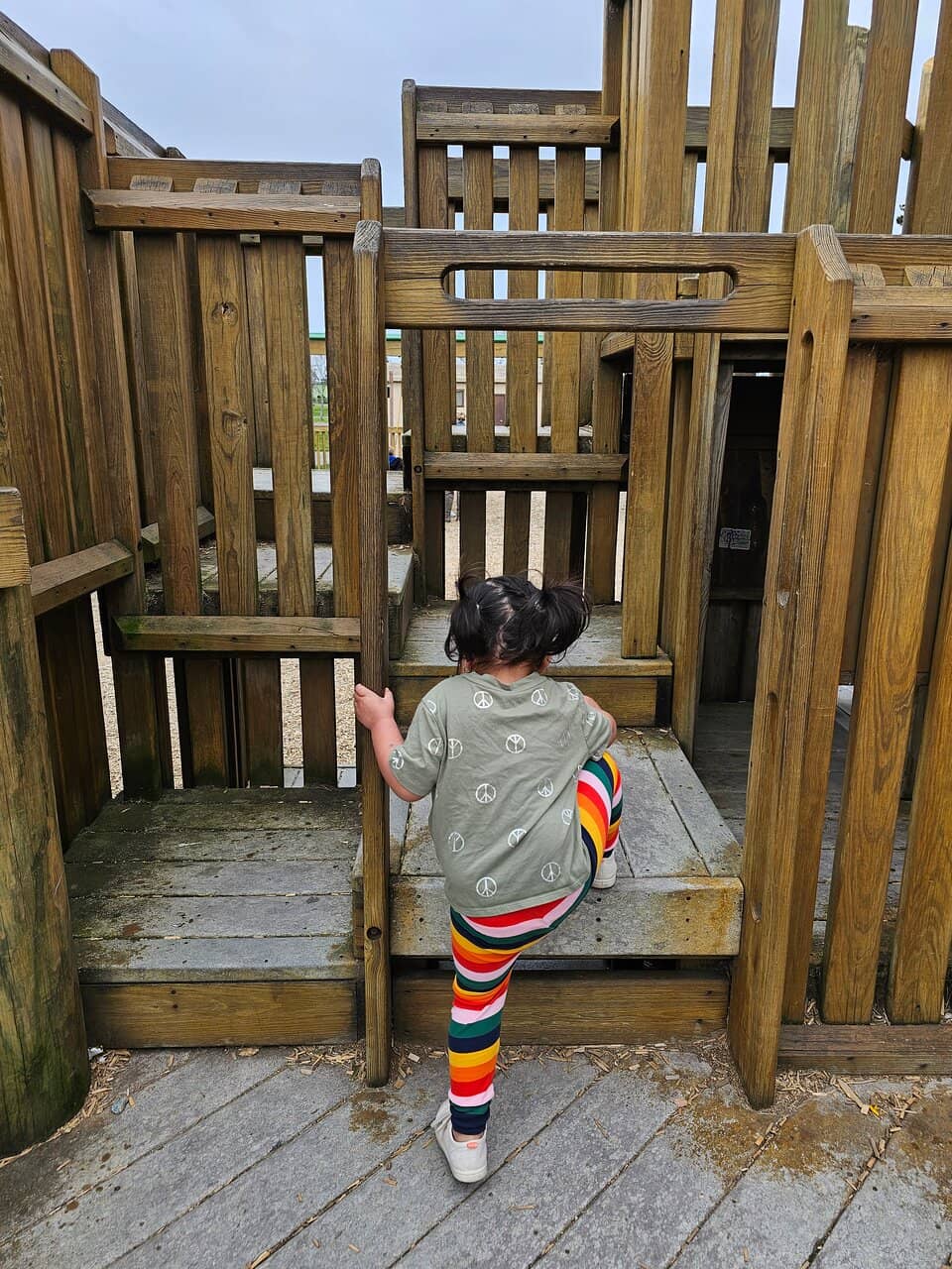 Disc Golf & Pump Track