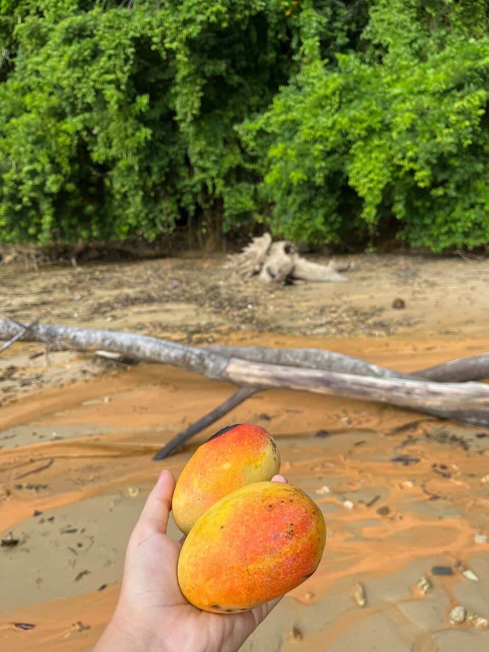 Porto de Cima Beach