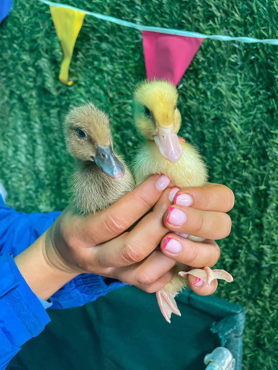 Interactive Attractions