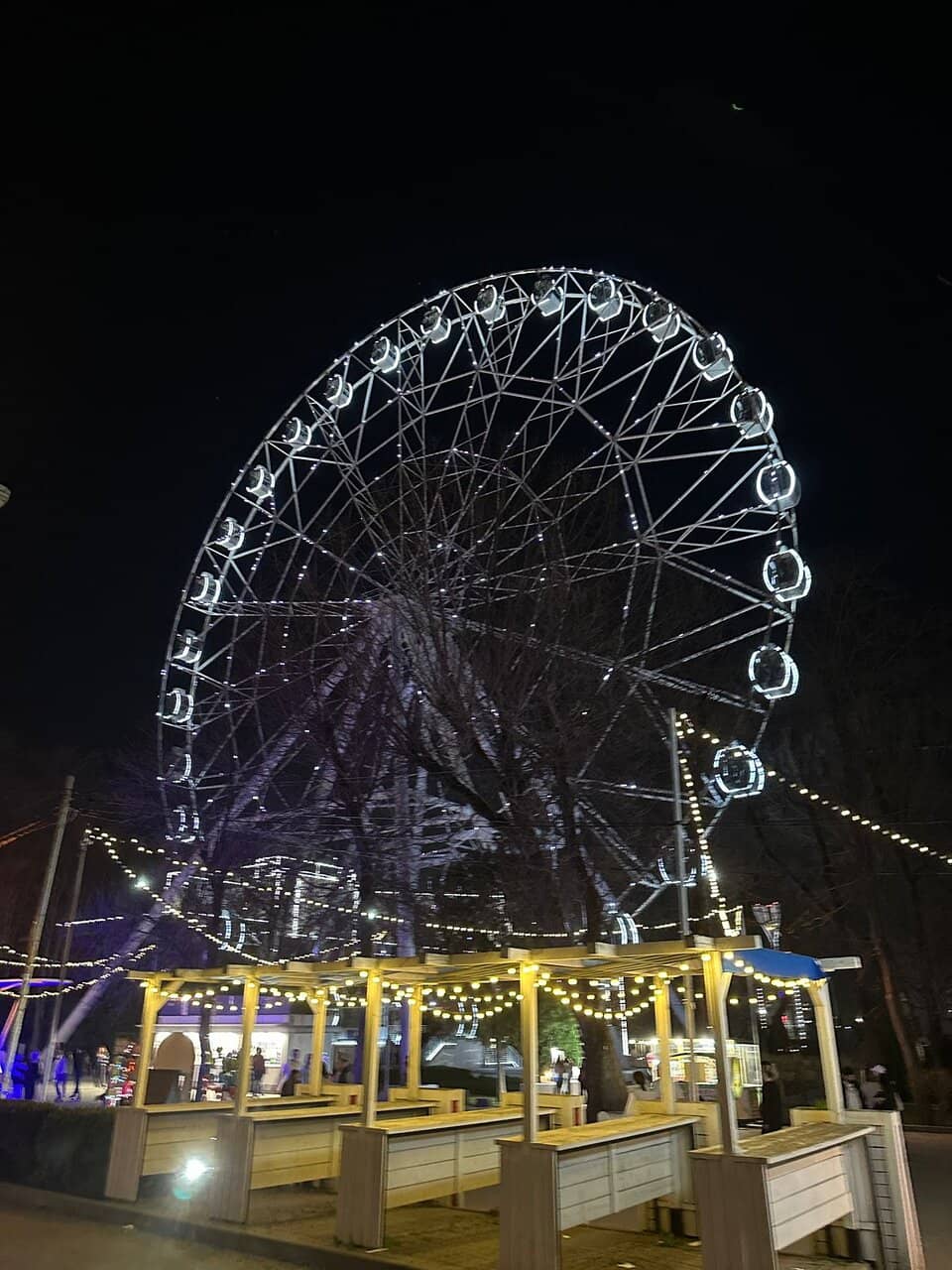 Adjacent Park Ambiance