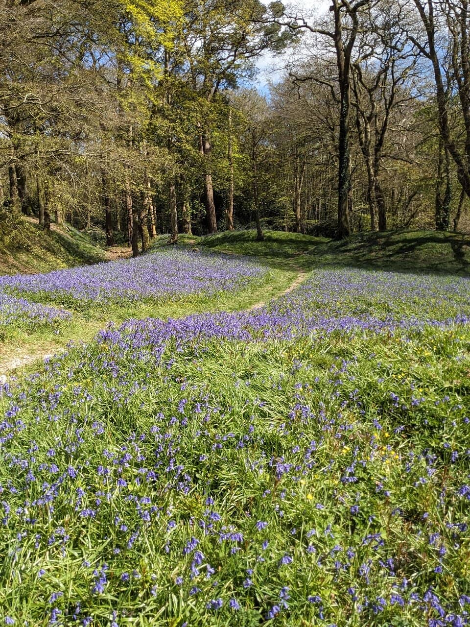 Iron Age Earthworks