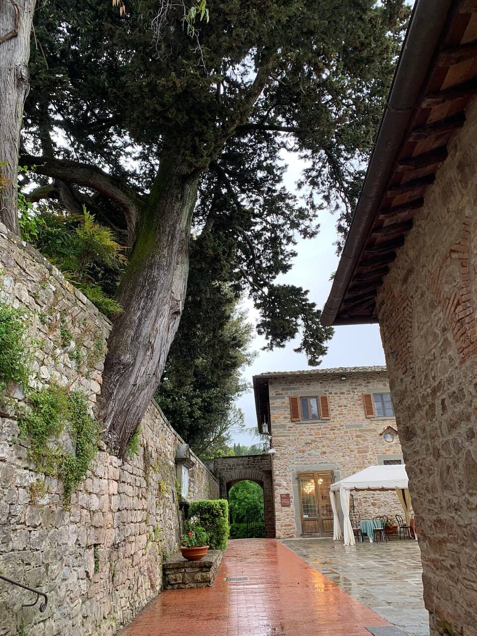 Panoramic Tuscan Views