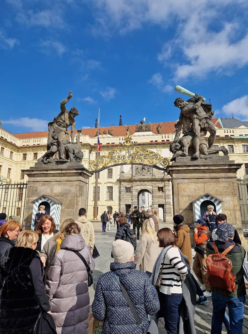 Fiordland National Park Scenery