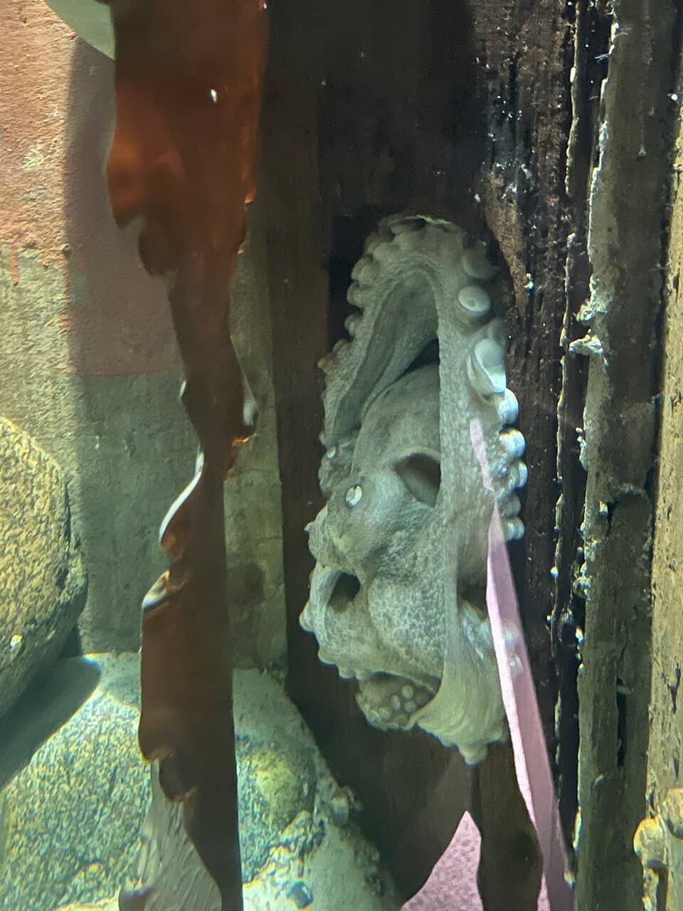 Helsingør Waterfront