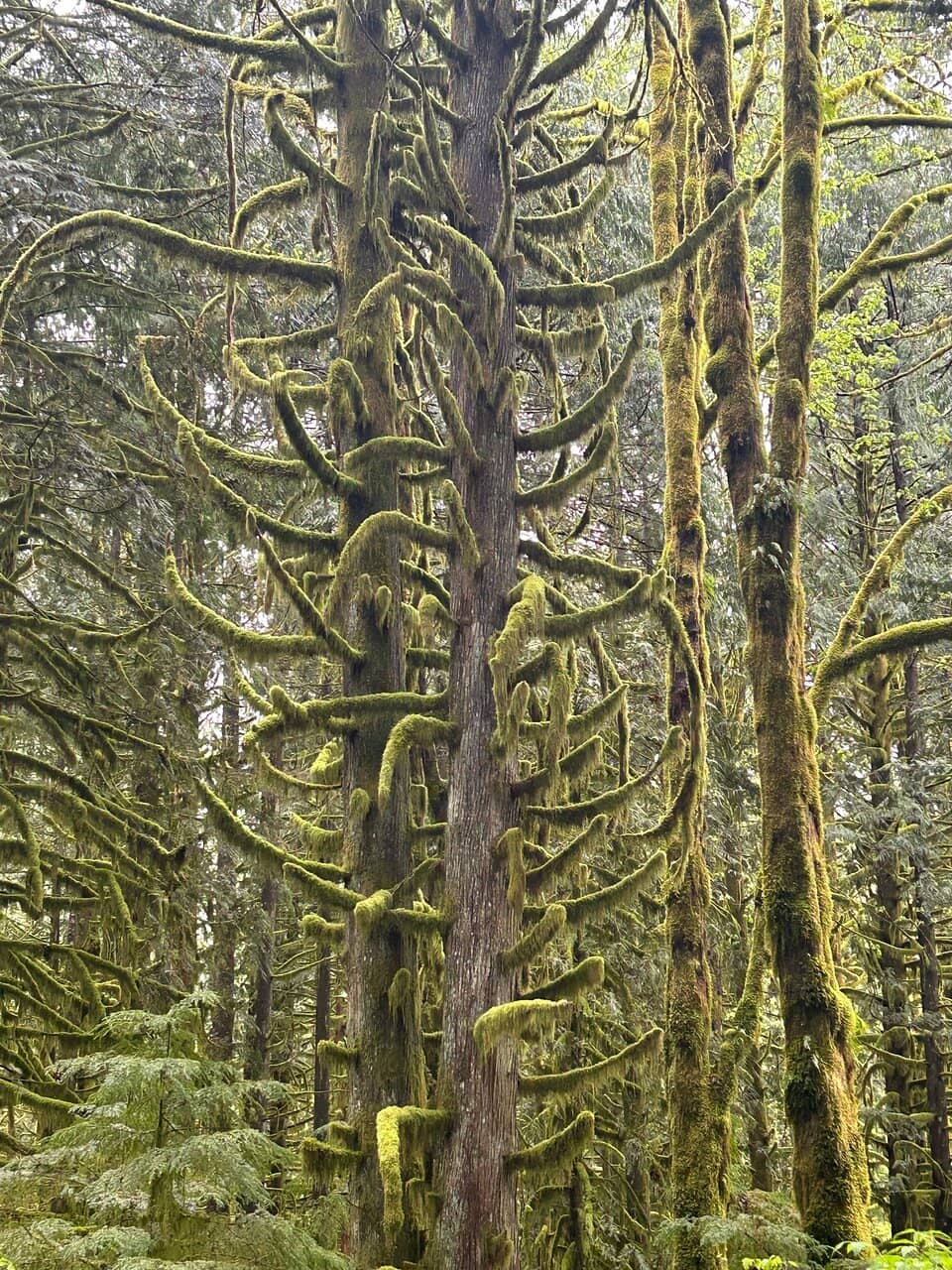 Vertical photo