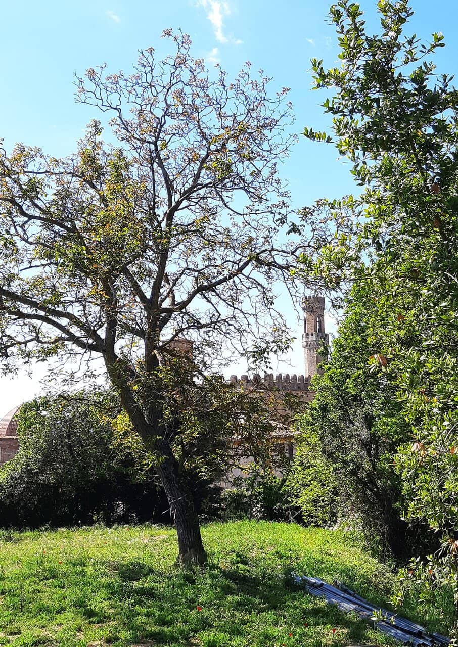 Roman Cisterns and Temples