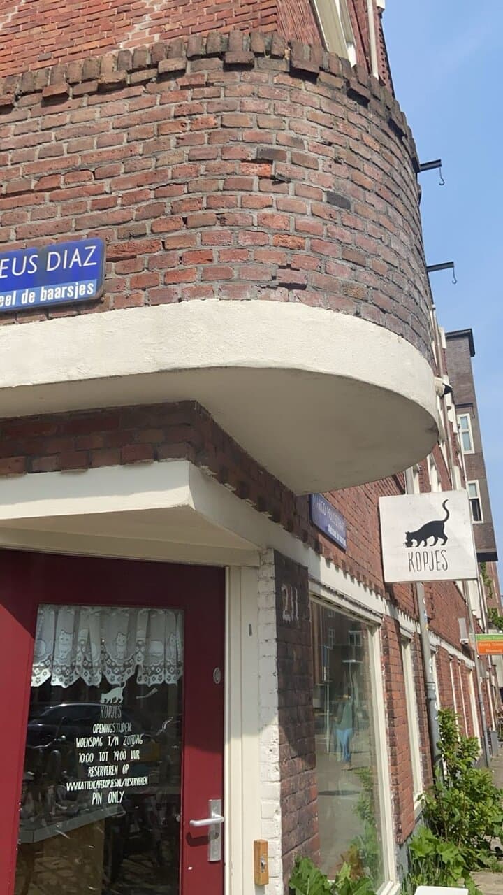 Visit the Cat Cafe