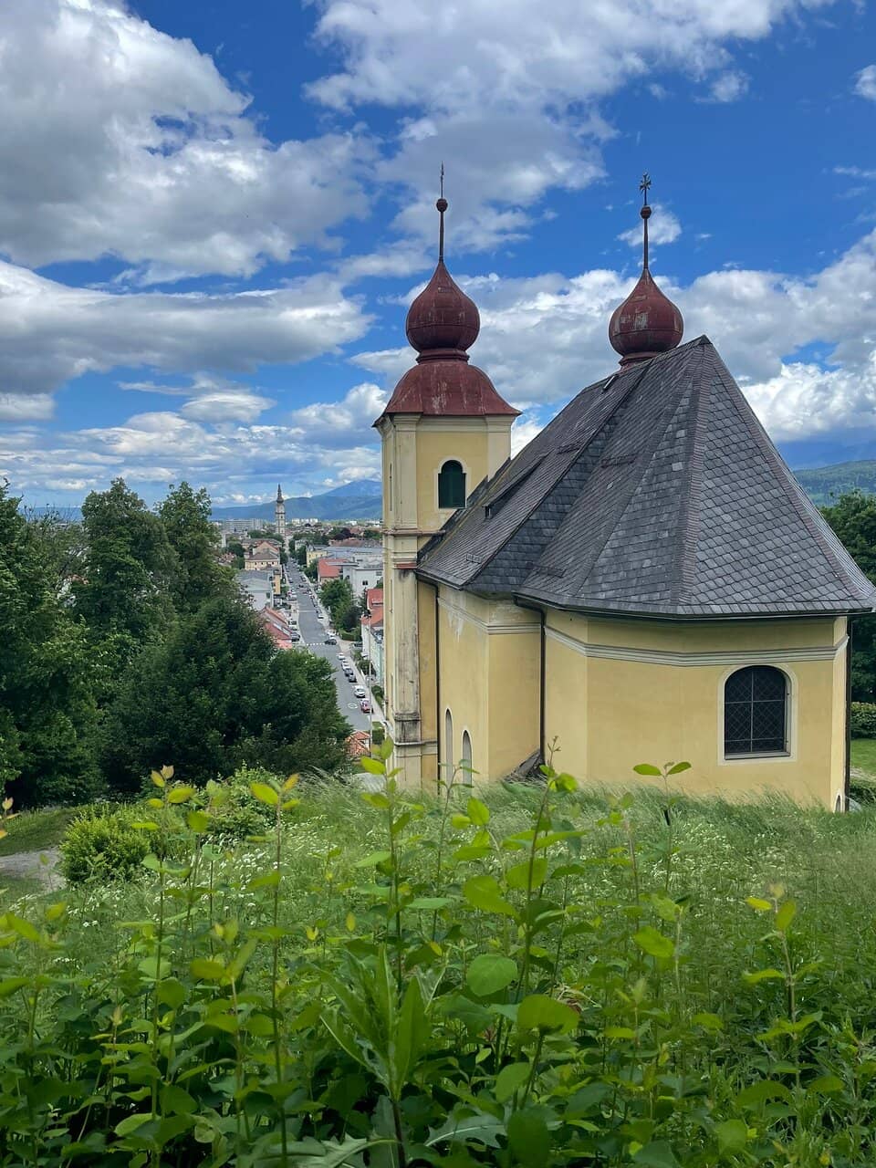 Vertical photo