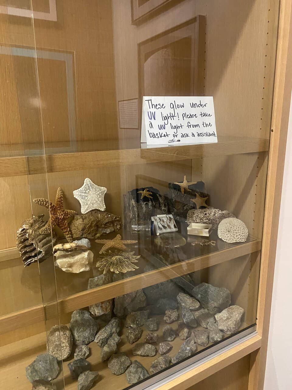 Magnetic Marble Run Wall