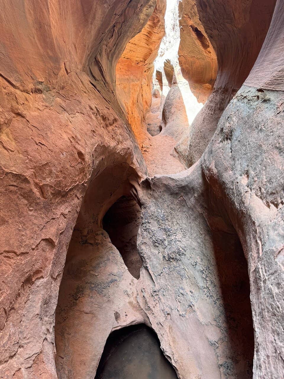 Cohab Canyon Views
