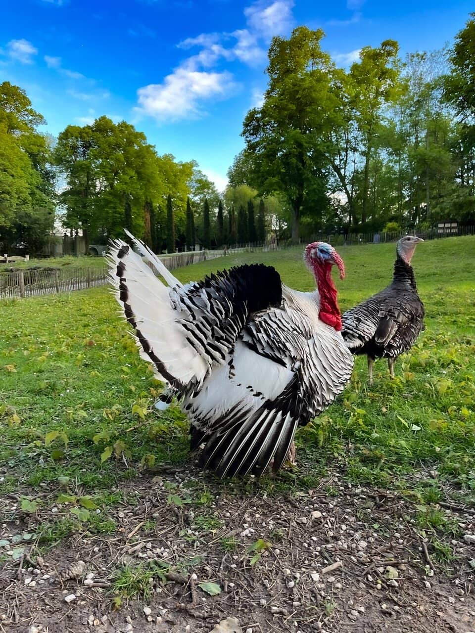 Art Gallery & Exhibits