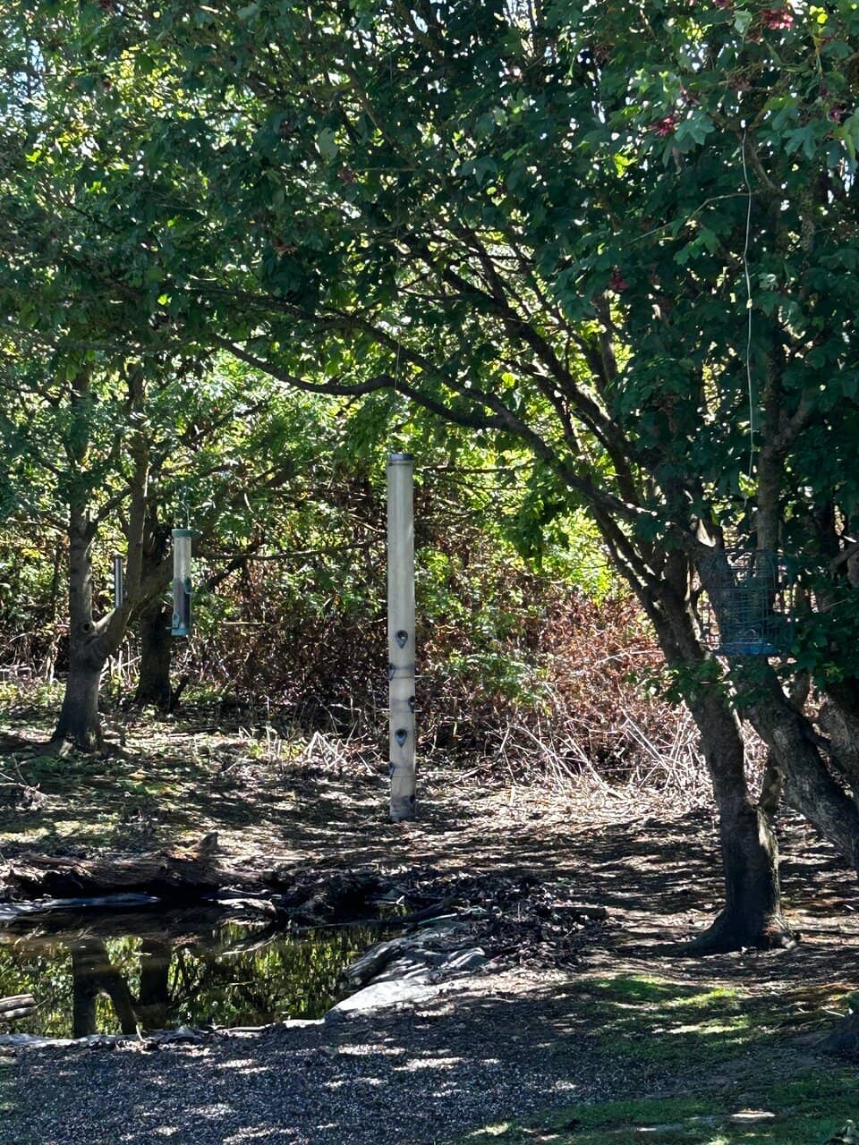 Peaceful Coastal Trails