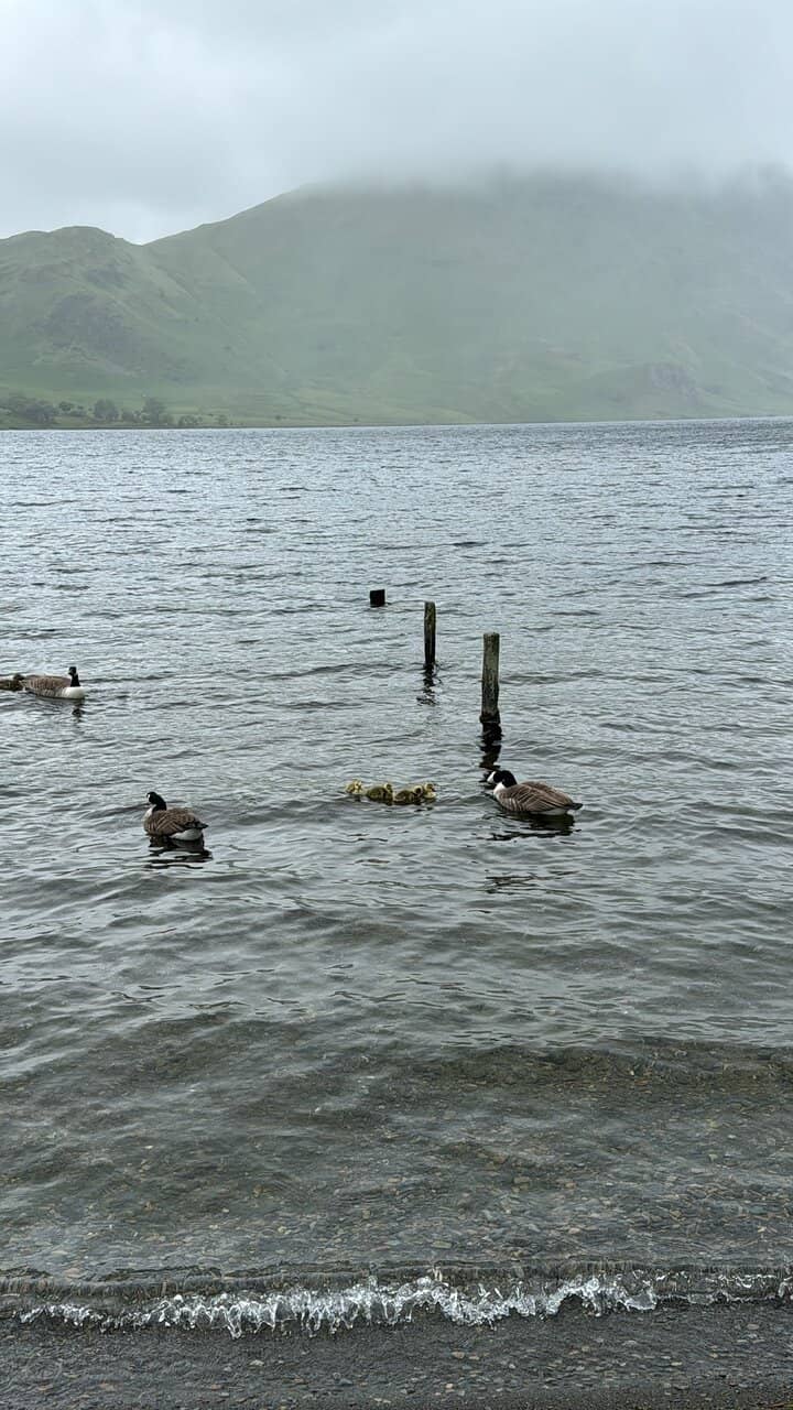 Vertical photo