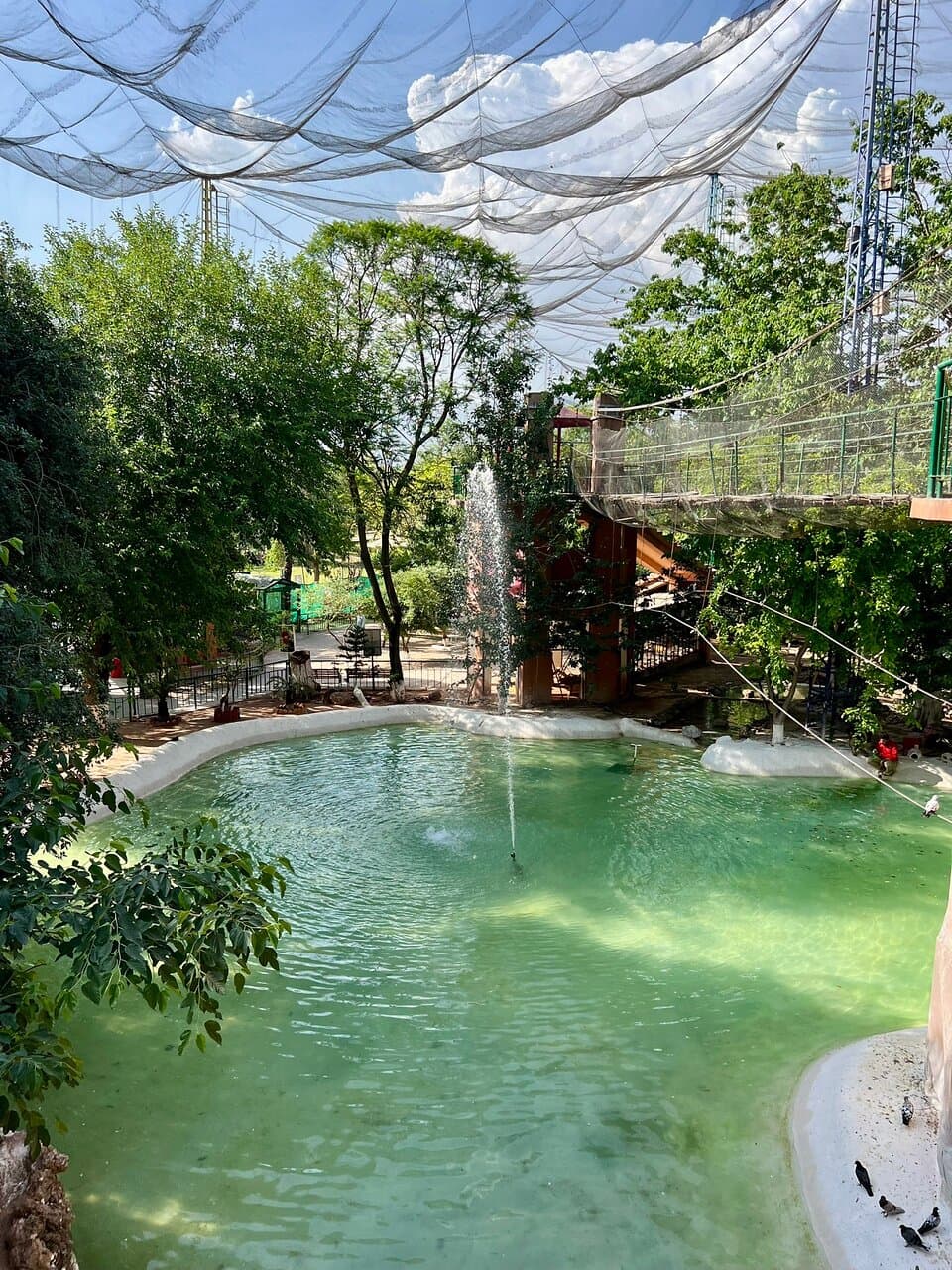 Islamabad Bird Aviary