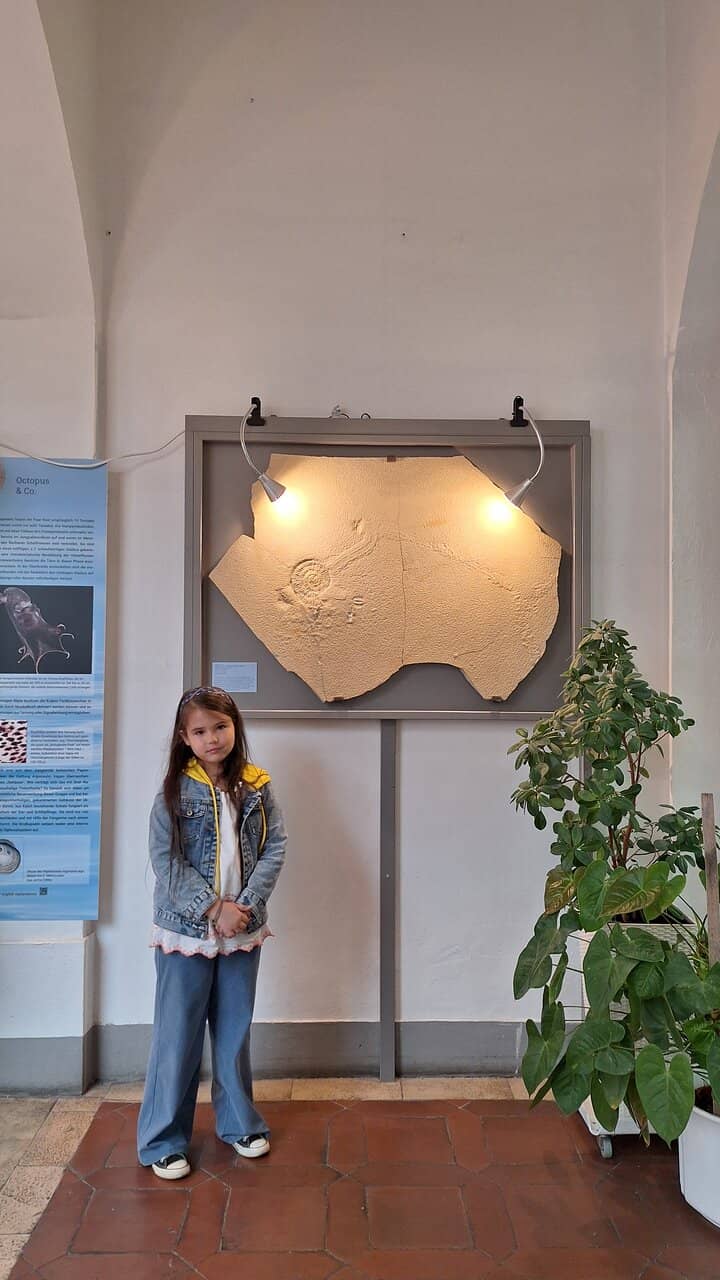 Mammoth Reconstruction