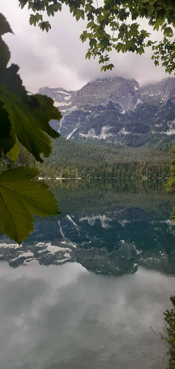 Vertical photo