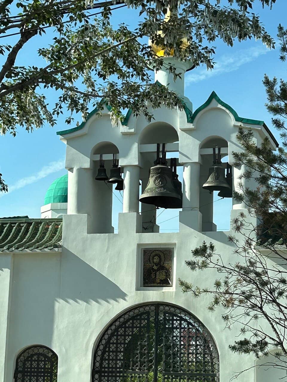 Vertical photo