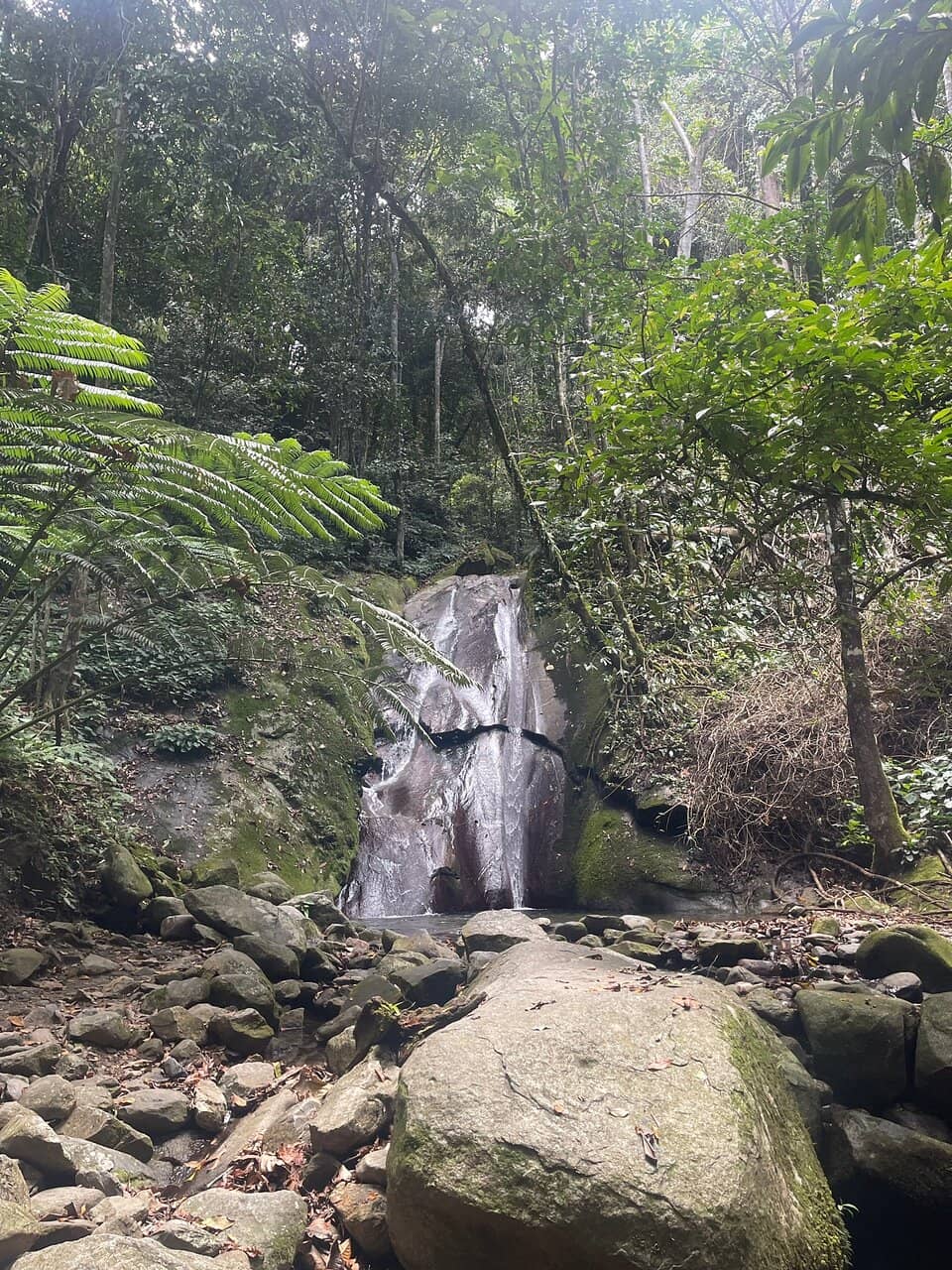 Canopy Walk Adventure