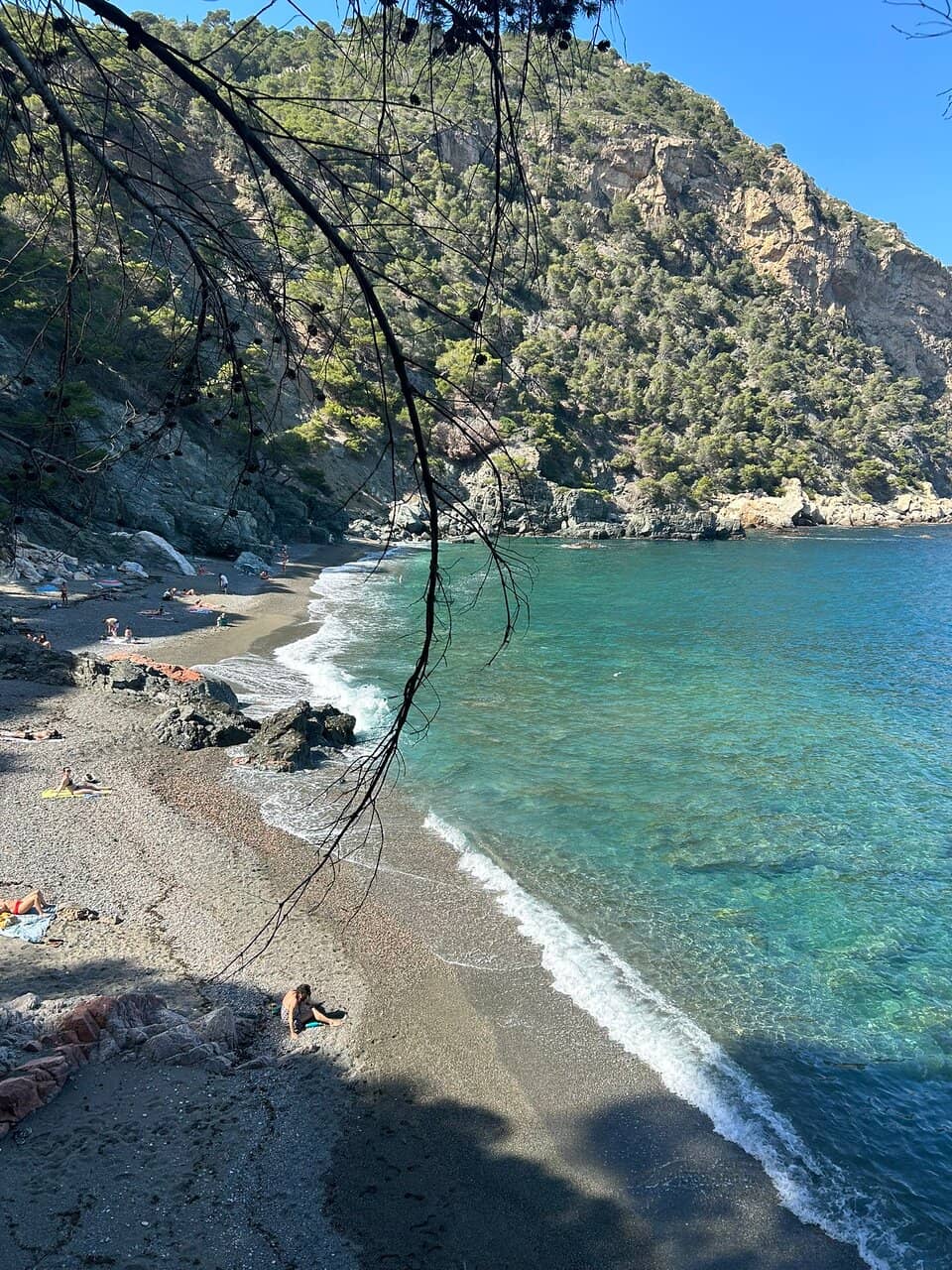 Secluded Natural Vibe