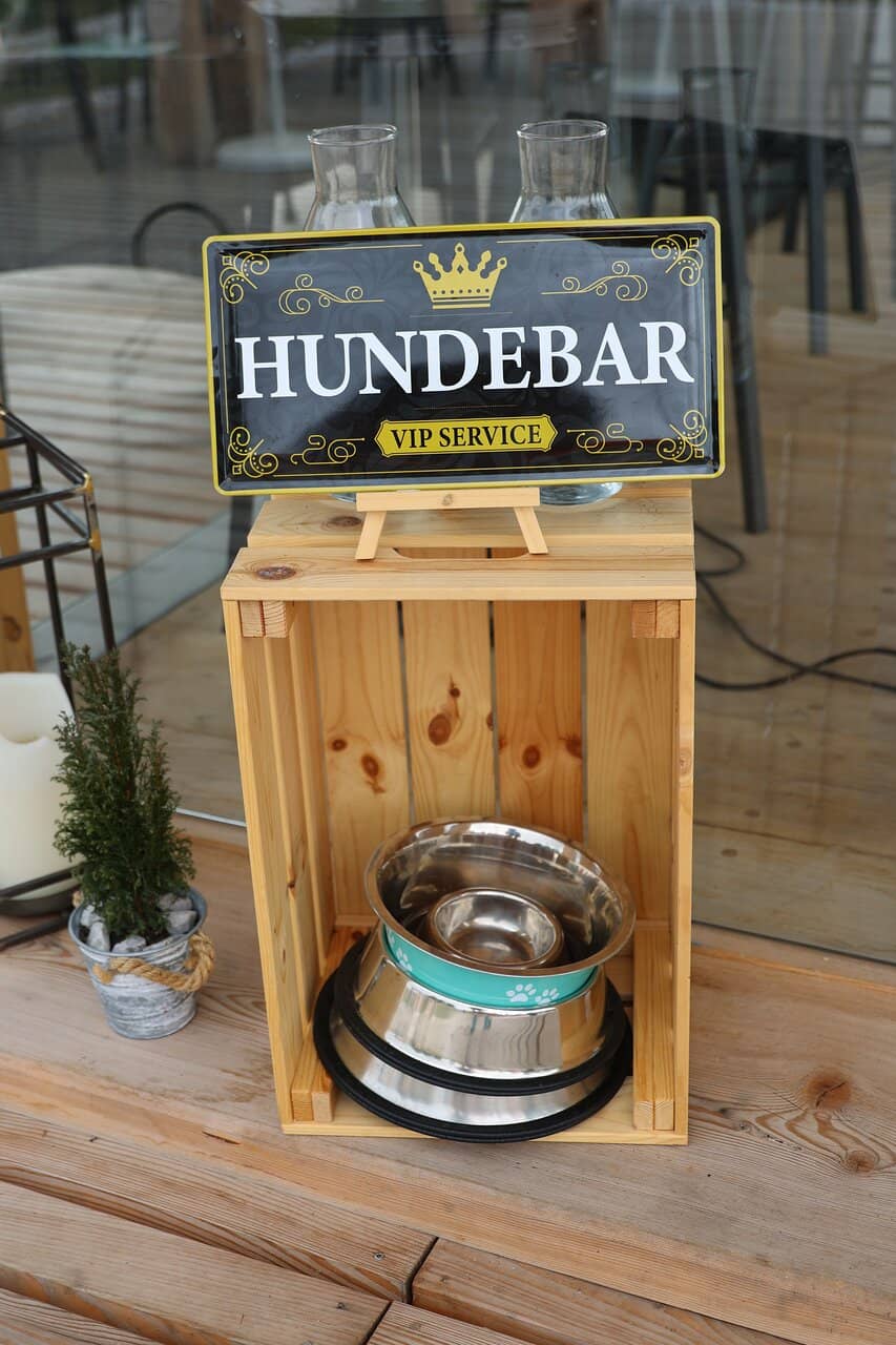 Family-Friendly Atmosphere