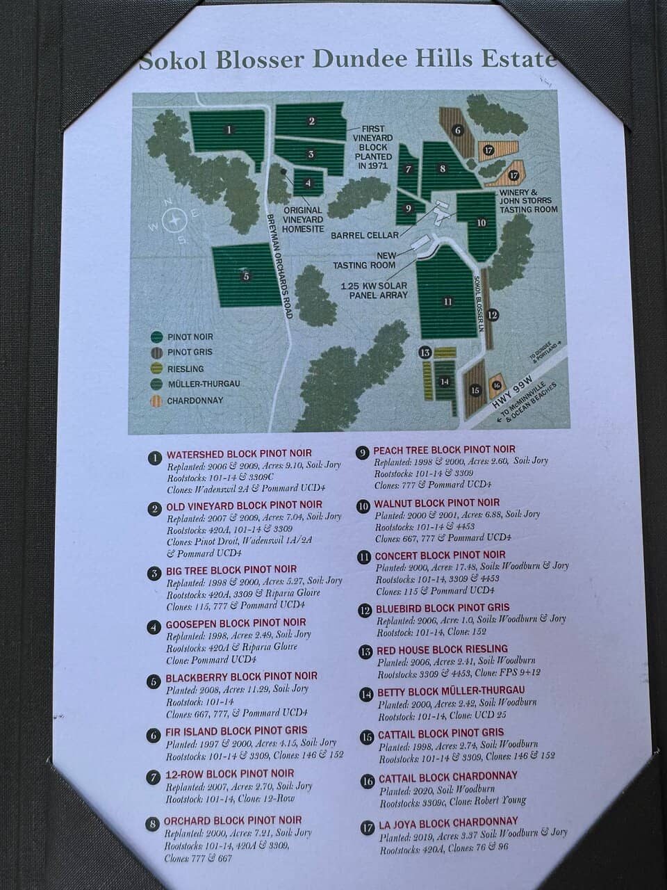 Sustainable Vineyard Views