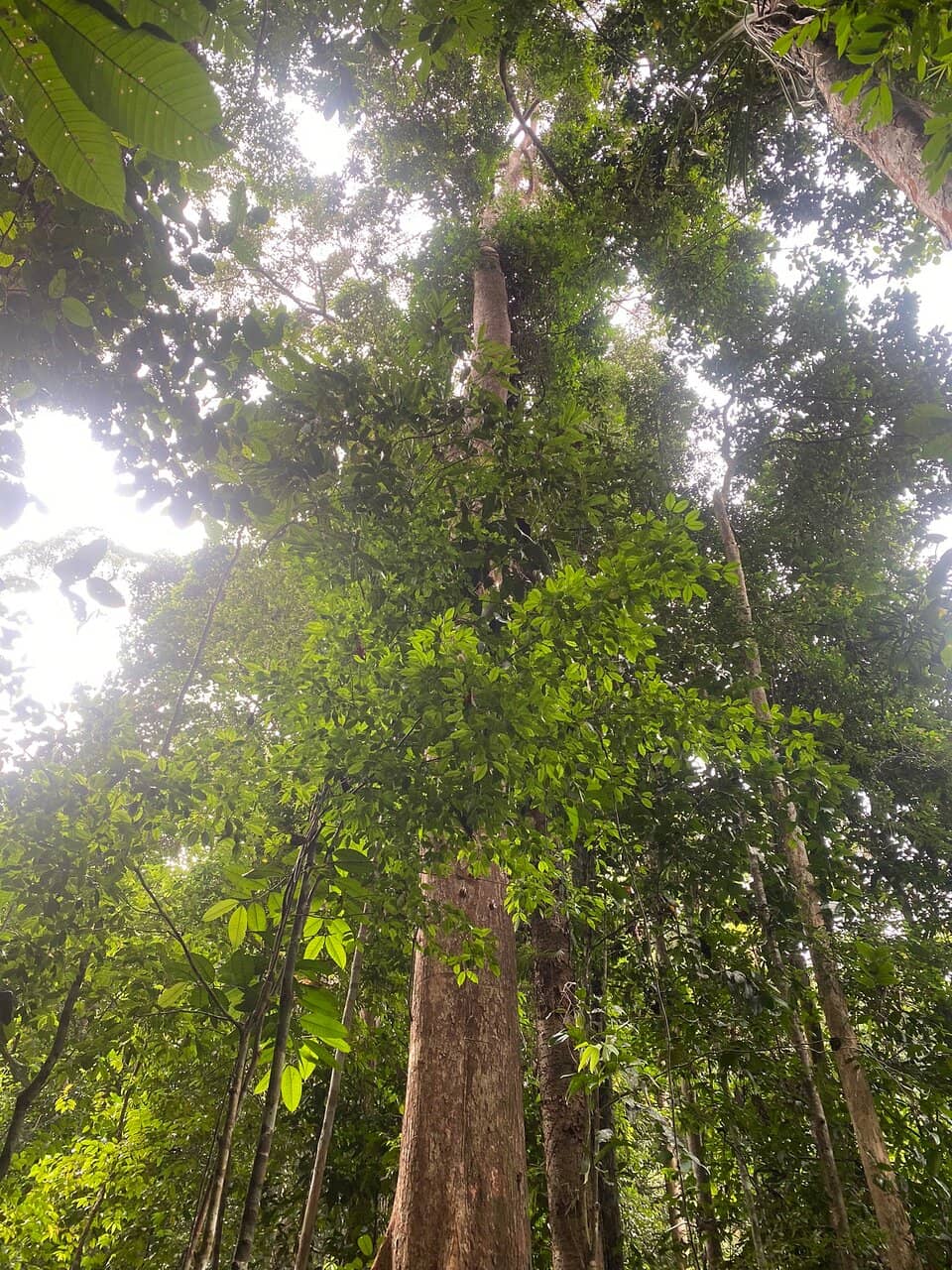 Margalla Hills Trails