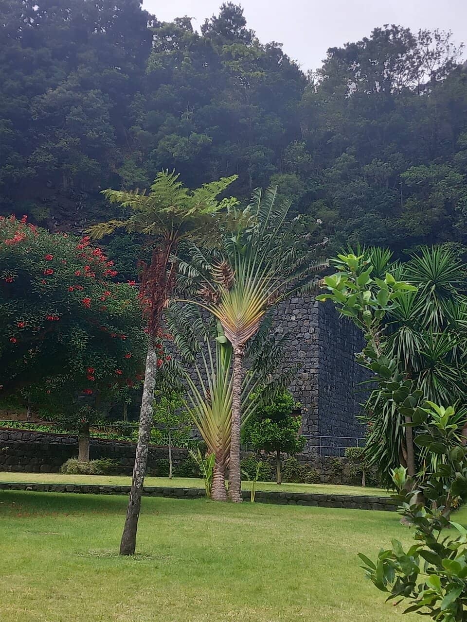 Volcanic Center Museum