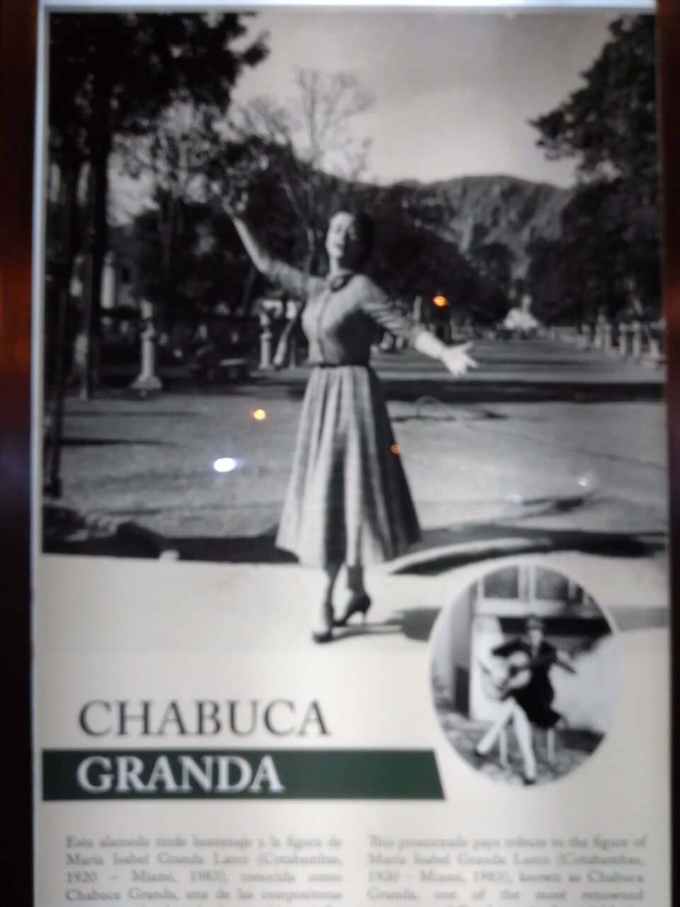 Illuminated Bumper Cars